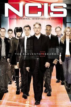 NCIS ( 11)