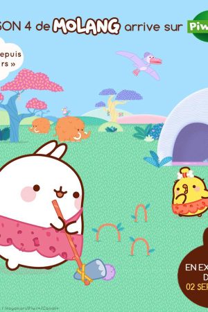 Molang ( 4)