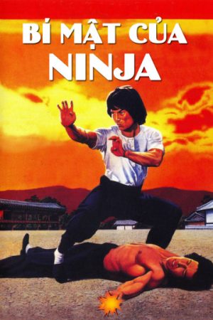 Bí Mật Của Ninja