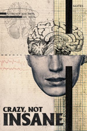 Điên Không Mất Trí